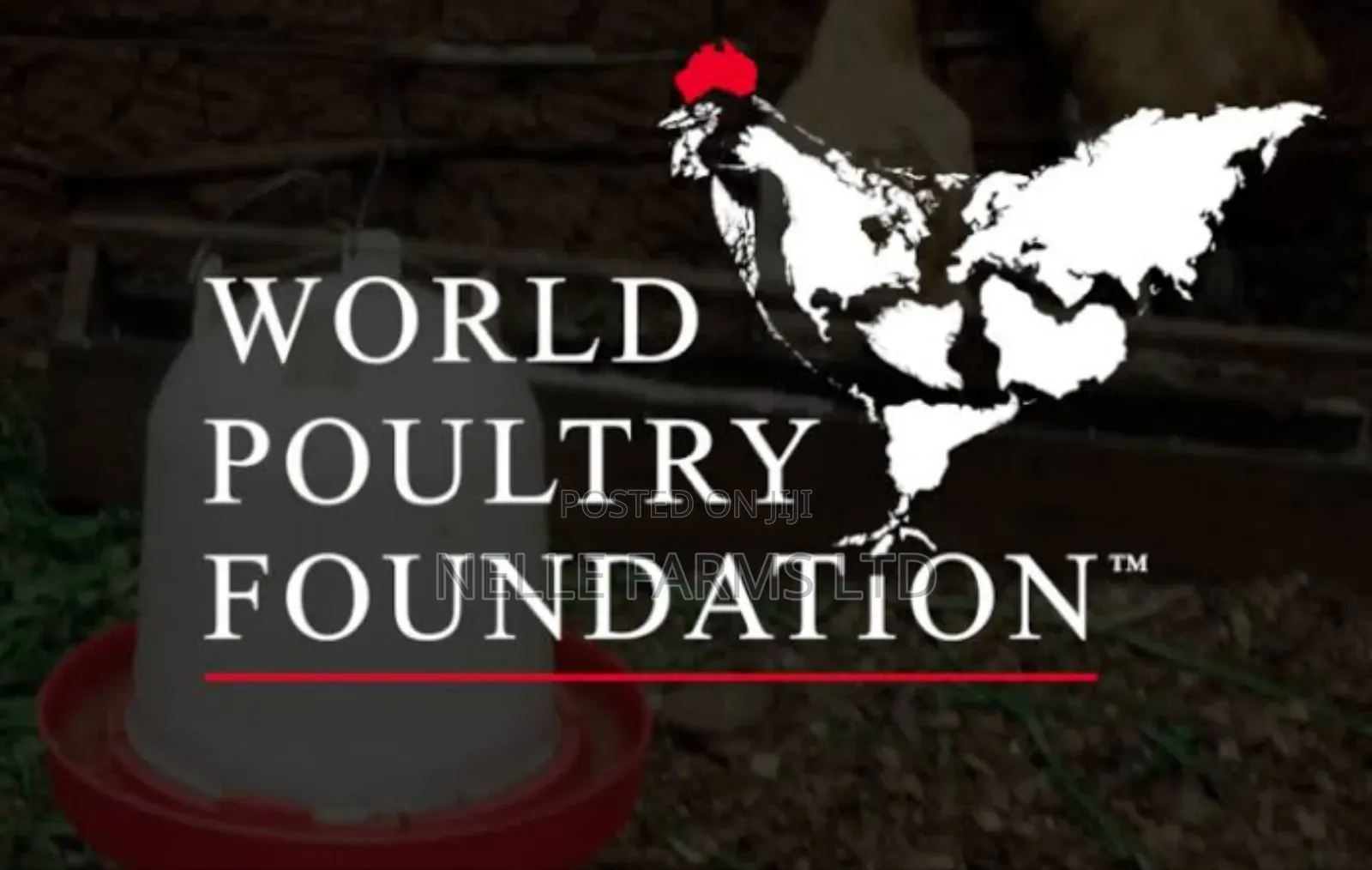 Comprehensive Training On Poultry Farming (A-z)
