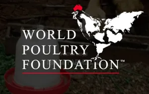 Comprehensive Training On Poultry Farming (A-z)