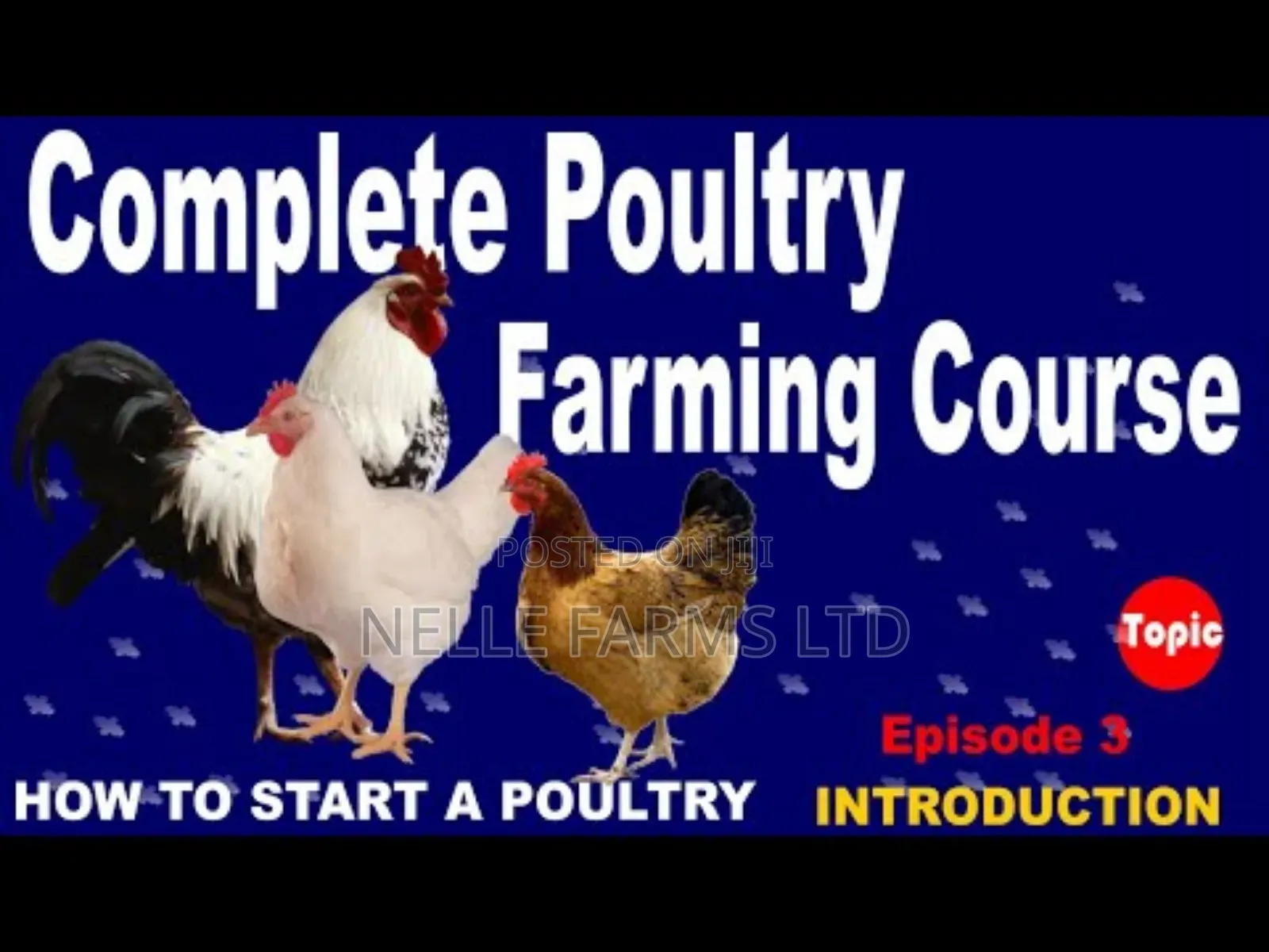 Comprehensive Training On Poultry Farming (A-z)