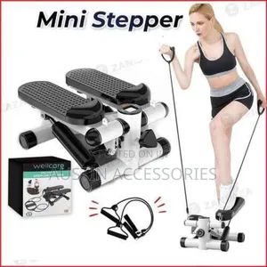 Wellcare Mini Stepper Exercise Machine
