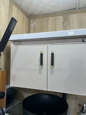 60cm Imported Cabinet With Cupboard Basin and Mirrors