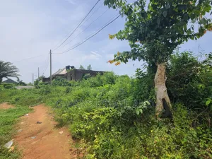 For Sale: 100ft by 100ft at Obayantor With Cofo