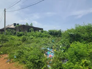 For Sale: 100ft by 100ft at Obayantor With Cofo
