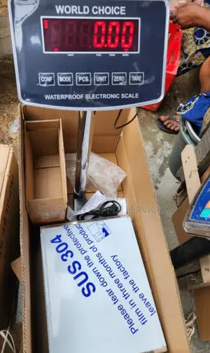 Stainless 100kg Electric Scale