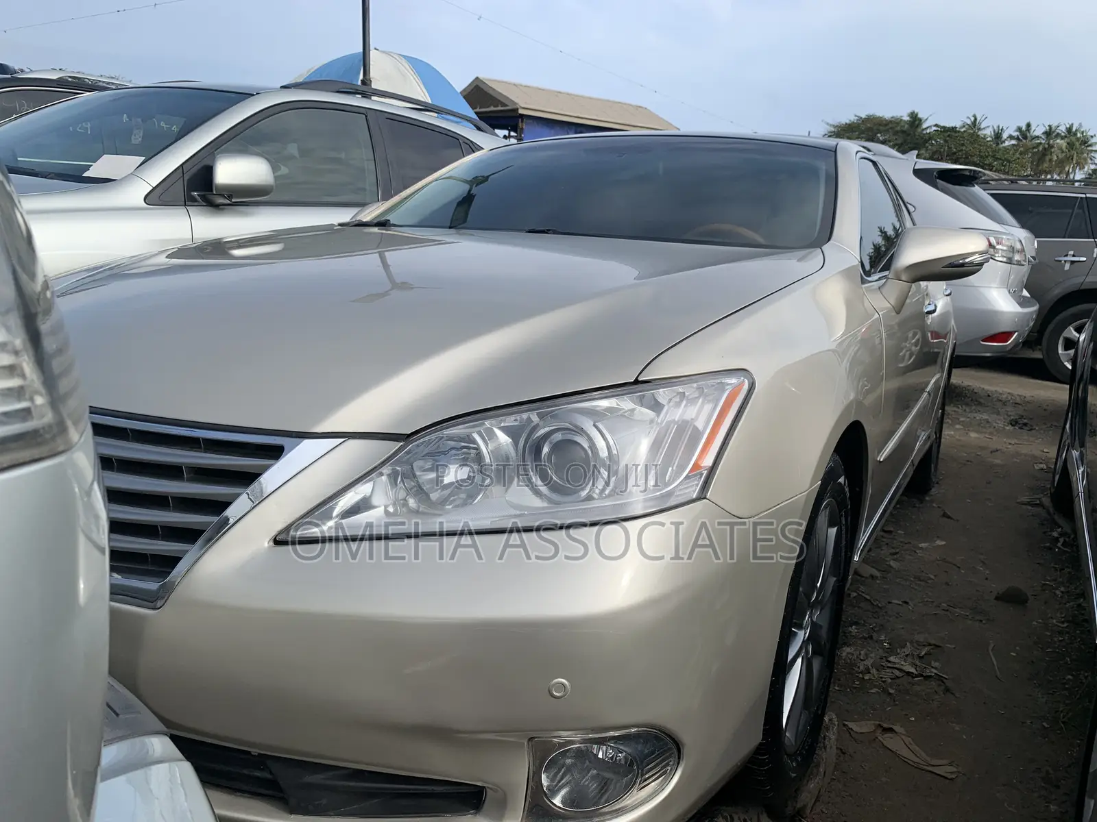 Lexus ES 350 2011 Gold