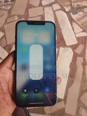 Apple iPhone 12 Pro Max 128 GB