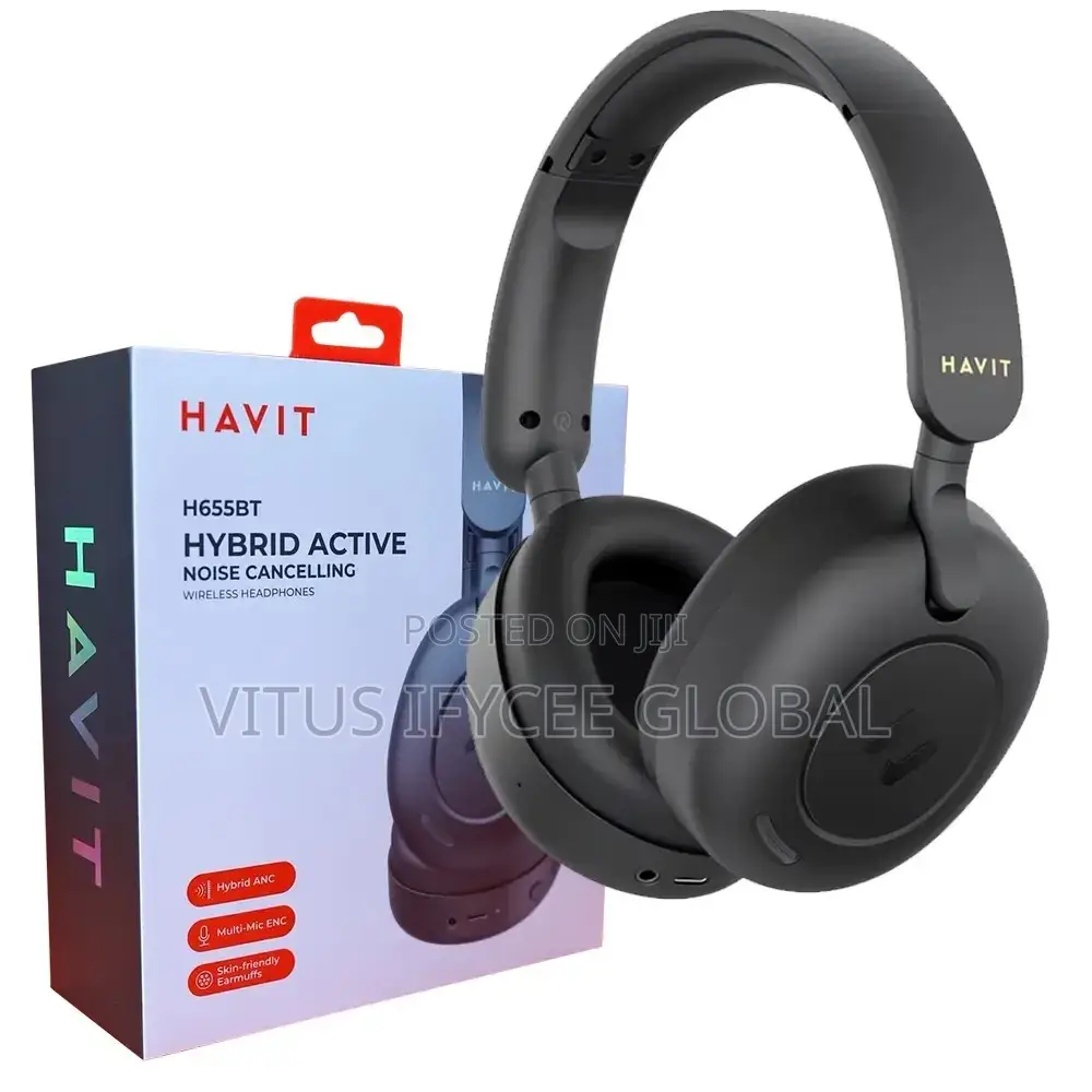 Havit H655 Hybrid Headphone