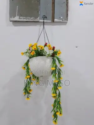 Cup Flower Available