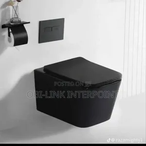 Black Concealed Wc