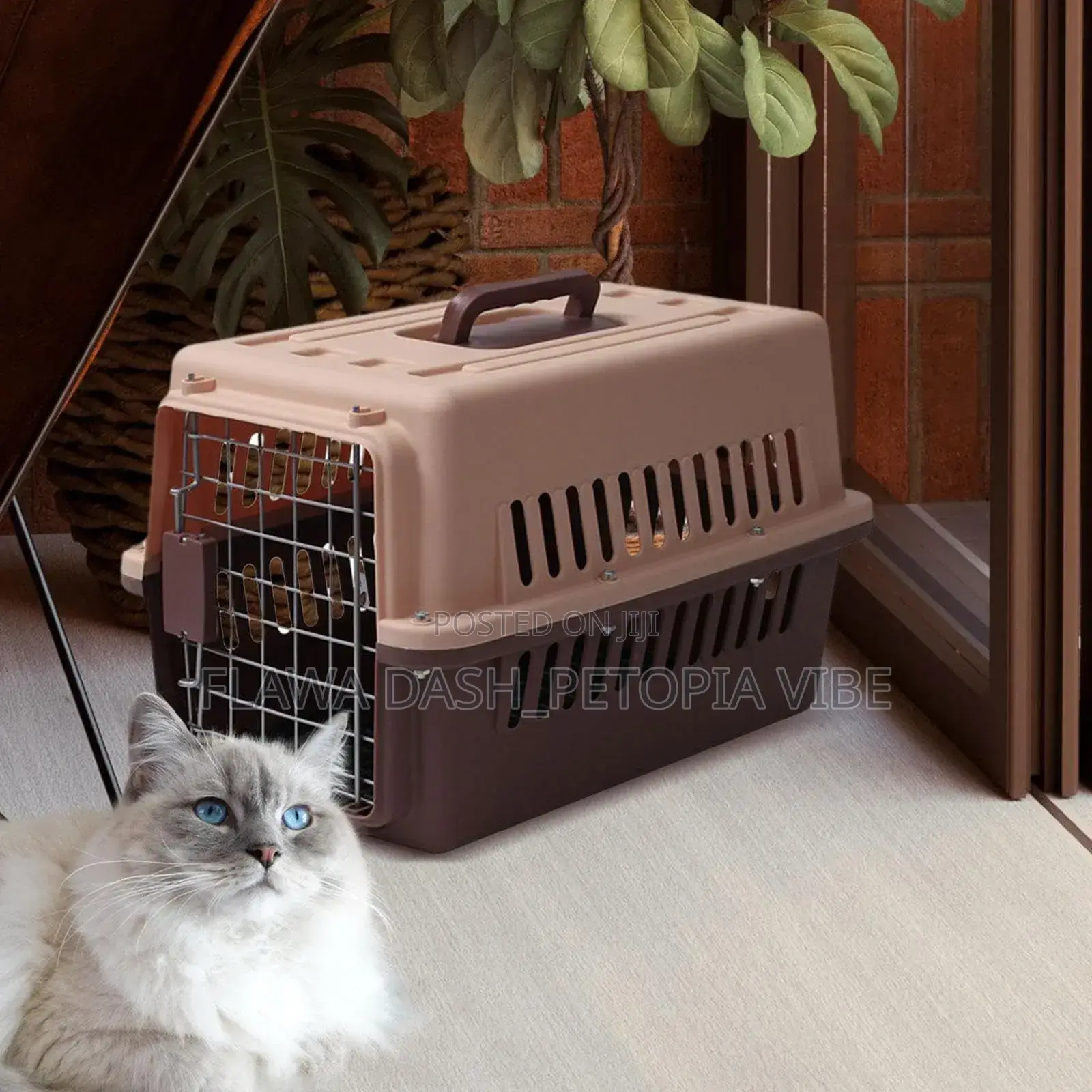 Pet Aviation Box Crate Carrier