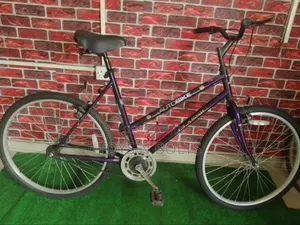 Adult Bicycle Size 26 Autobike Classic