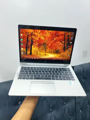 Laptop HP EliteBook 840 G5 8GB Intel Core i5 SSD 256GB