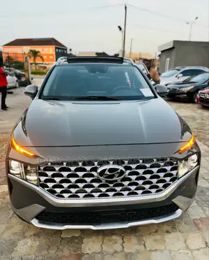 Hyundai Santa Fe 2023 Gray