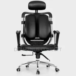 Kidney Ergonomic Office Chair
