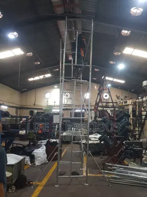 Scaffolding Ladder