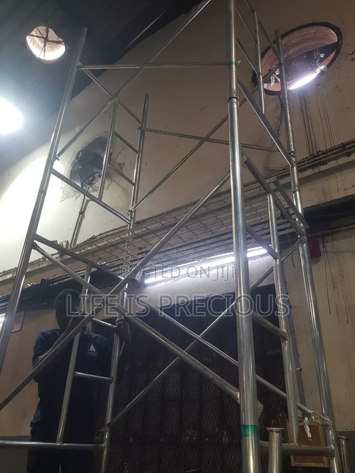 Scaffolding Ladder