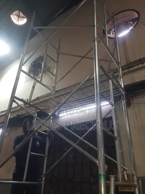Scaffolding Ladder