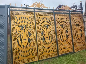 Lazer Gate Design