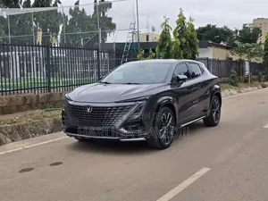 Changan UNI-T 2024 Gray