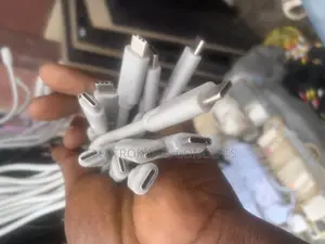 Original Type C to Type C Cord