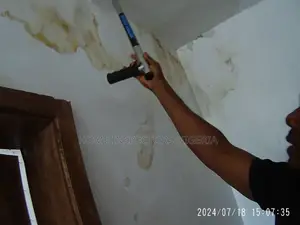 Pro Home, Building , And Snag Inspections