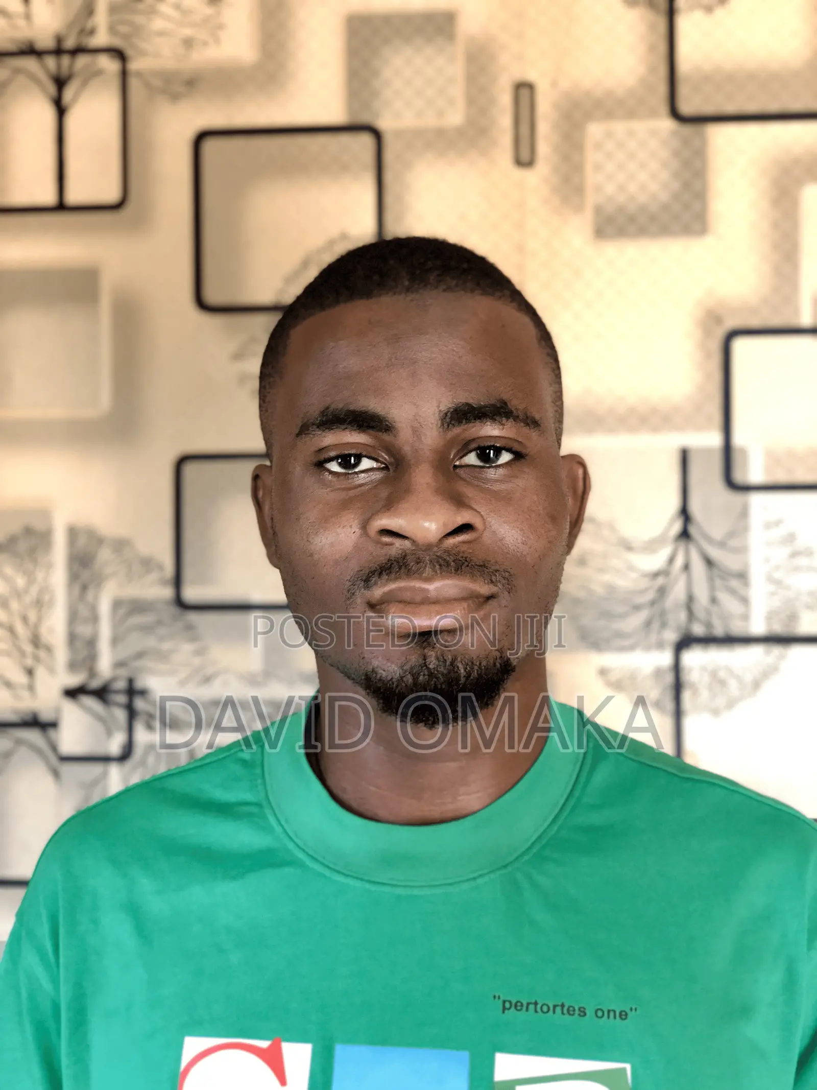 Web/App Developer