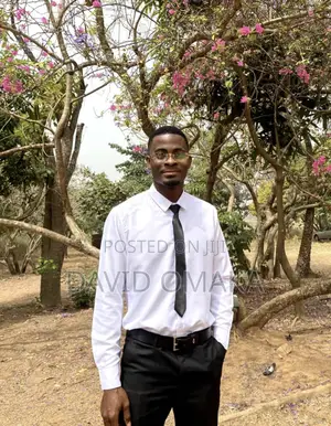 Financial Accountant