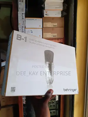 Behringer B-1 Studio Condenser Microphone