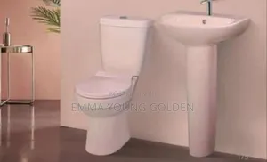 Pink Golden Diamond Wc