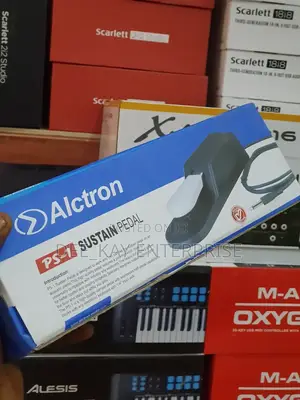 Alctron Ps-1 Sustain Pedal