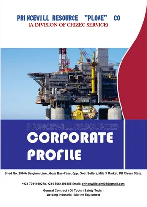 This About Princewill Resources Plove Co.