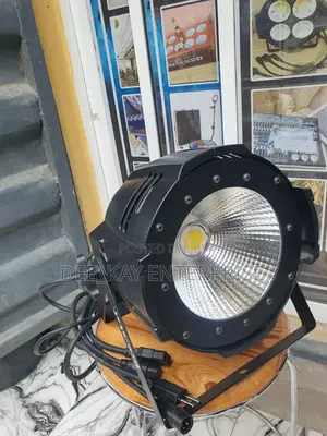 Cob 100 Watts Parcans Light