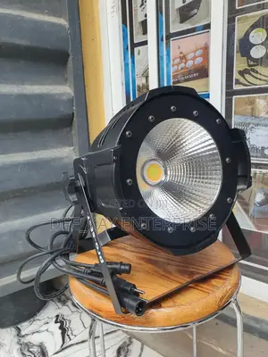 Cob 100 Watts Parcans Light