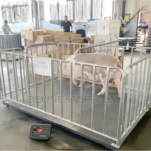 1.5x2mm Animal Weighing Cage Scale