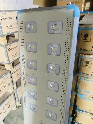 C2-C100w Coworth All in One Solar Street Light