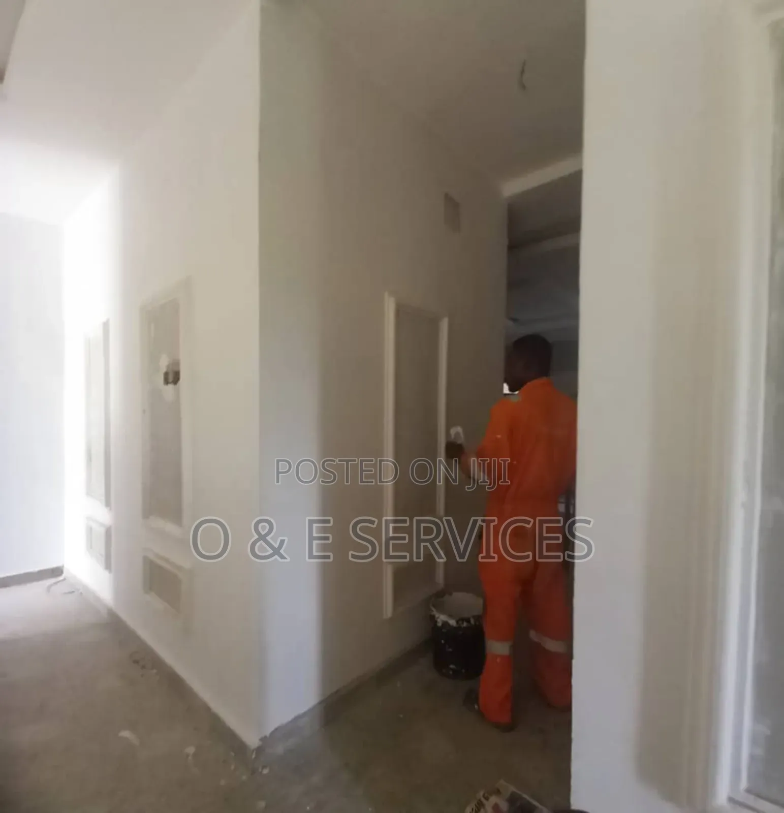Professional Painter And Cleaner
