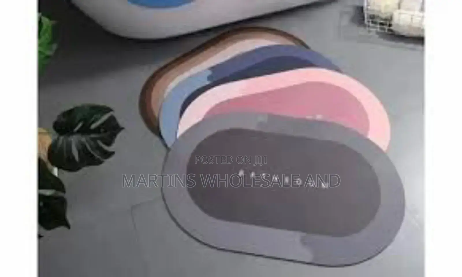 Bathroom Absorbing Mat