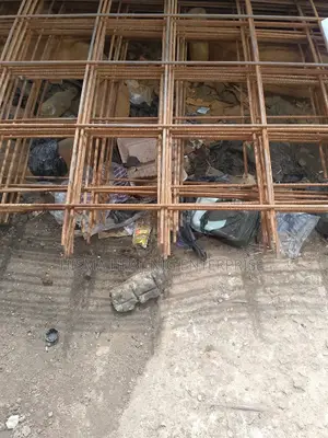 A252) 8mm Thickness British Rain Forcement Wire Mesh