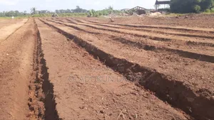 Tractor Operator, Trainer (Mechanization Expert/Maintenance/Rep)