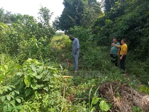Geophysical Survey for Industrial Borehole at Sagamu