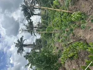 7000 Acres of Land at Ijio Meso Iwajowa Local Government