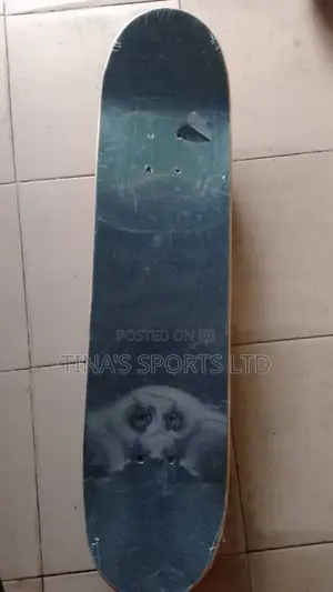 Adult Skate Board