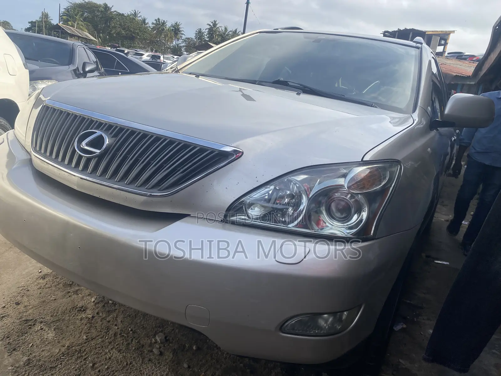 Lexus RX 330 2006 Gold
