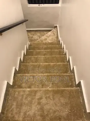 Quality Wall to Wall Rug. Thick and Fluffy