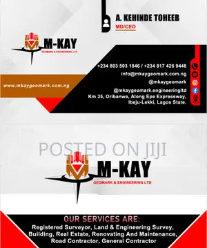 Experienced Surveyor