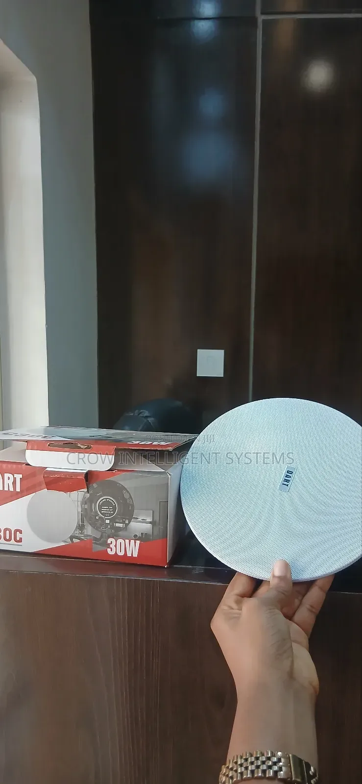 30watts Dart Ceiling Speaker