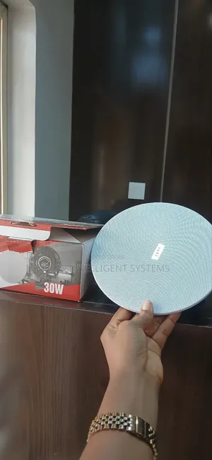 30watts Dart Ceiling Speaker
