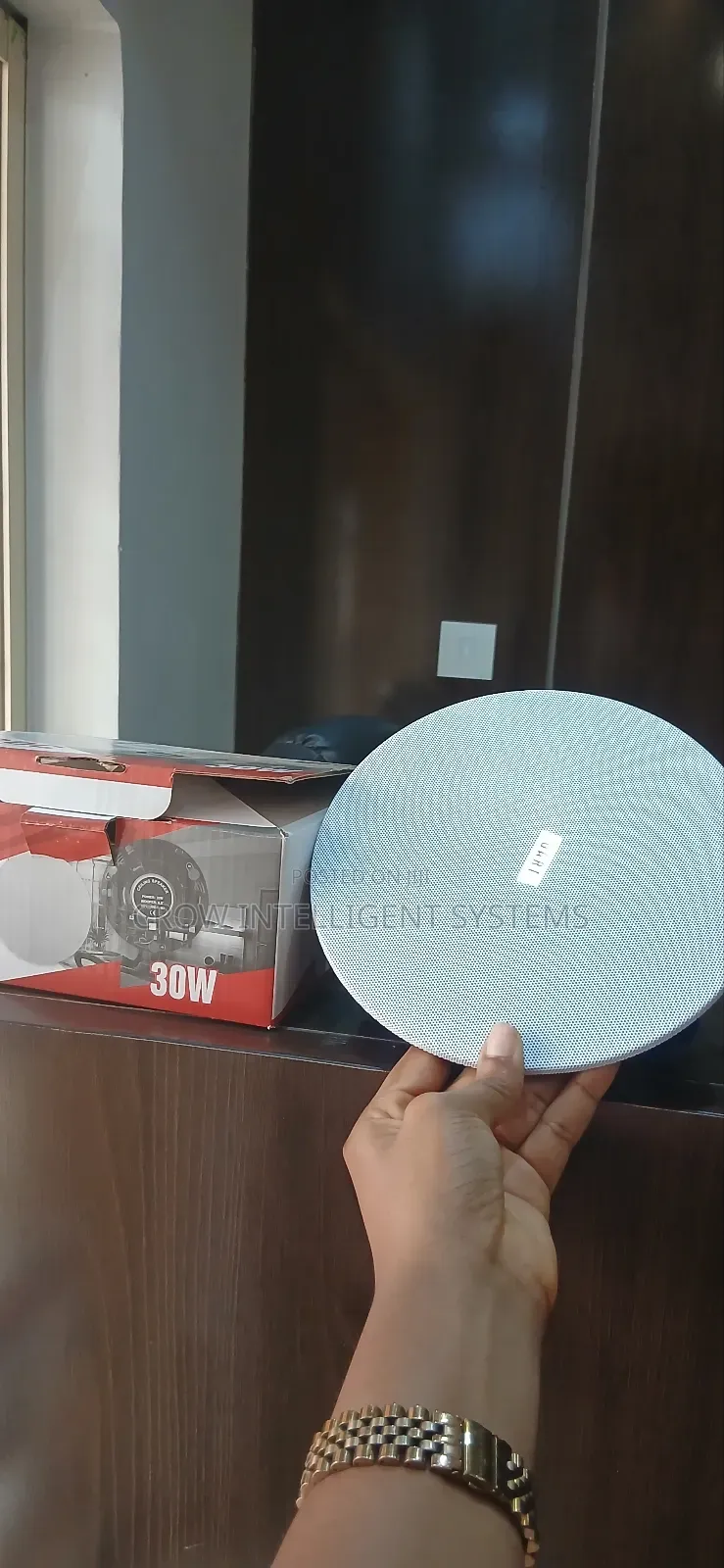 30watts Dart Ceiling Speaker