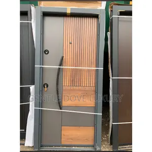 3ft by 7ft Turkey Security Door