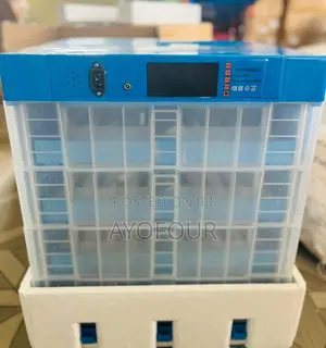 256 Eggs Incubator